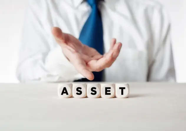 Asset Section Image